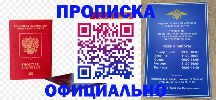 прописка иностранных граждан в Щёлково